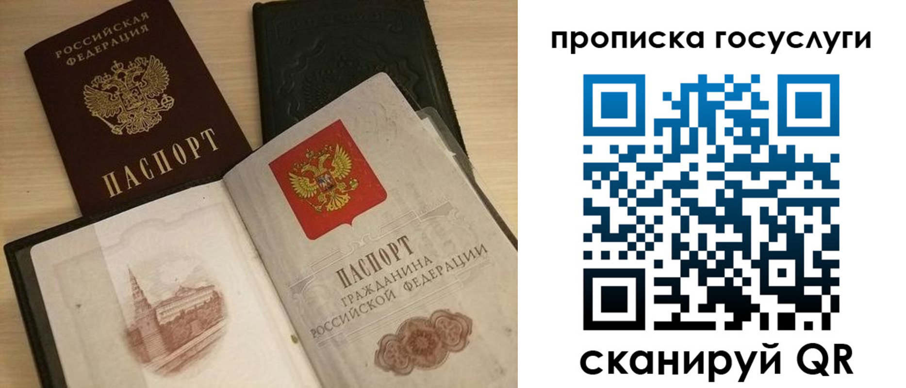 прописка иностранных граждан в Лыткарино
